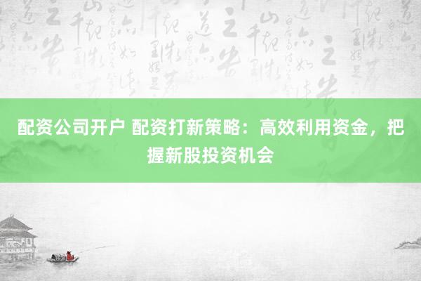 配资公司开户 配资打新策略：高效利用资金，把握新股投资机会