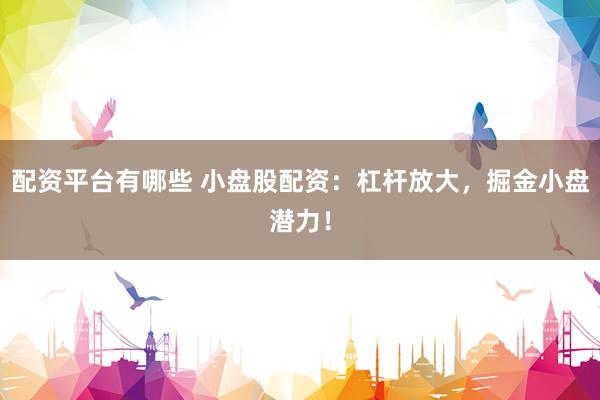 配资平台有哪些 小盘股配资：杠杆放大，掘金小盘潜力！