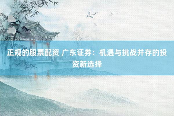 正规的股票配资 广东证券：机遇与挑战并存的投资新选择