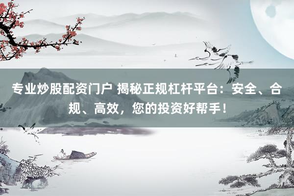 专业炒股配资门户 揭秘正规杠杆平台：安全、合规、高效，您的投资好帮手！