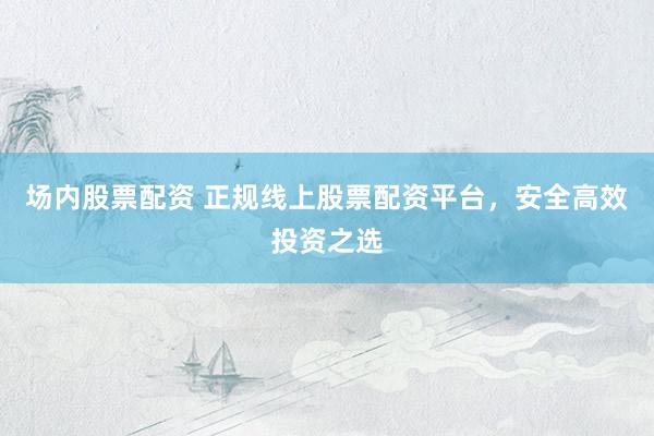 场内股票配资 正规线上股票配资平台，安全高效投资之选