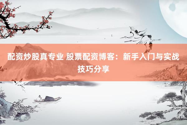配资炒股真专业 股票配资博客：新手入门与实战技巧分享