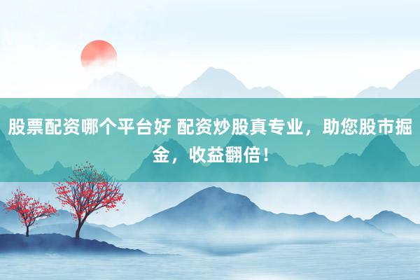 股票配资哪个平台好 配资炒股真专业，助您股市掘金，收益翻倍！