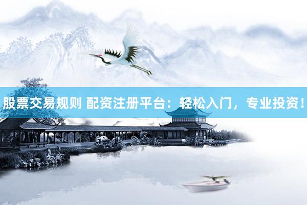股票交易规则 配资注册平台：轻松入门，专业投资！
