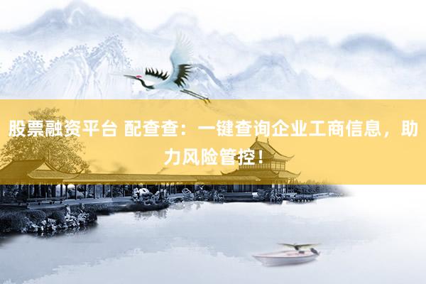 股票融资平台 配查查：一键查询企业工商信息，助力风险管控！