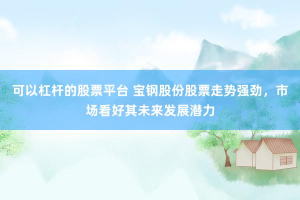 可以杠杆的股票平台 宝钢股份股票走势强劲，市场看好其未来发展潜力