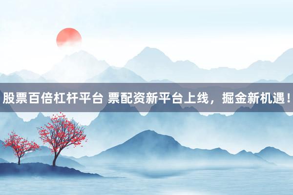 股票百倍杠杆平台 票配资新平台上线，掘金新机遇！