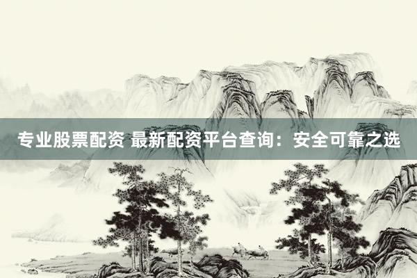 专业股票配资 最新配资平台查询：安全可靠之选