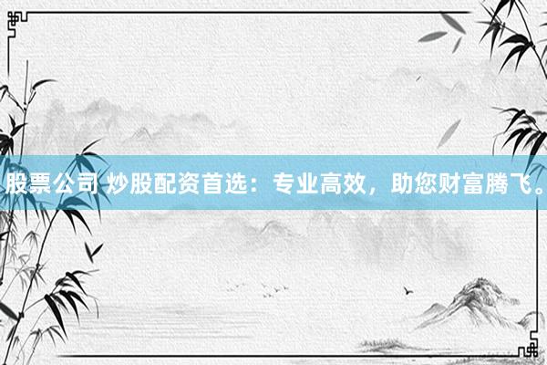 股票公司 炒股配资首选：专业高效，助您财富腾飞。