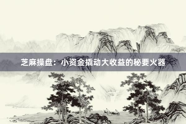 芝麻操盘：小资金撬动大收益的秘要火器