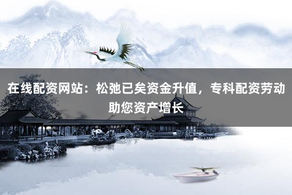 在线配资网站：松弛已矣资金升值，专科配资劳动助您资产增长