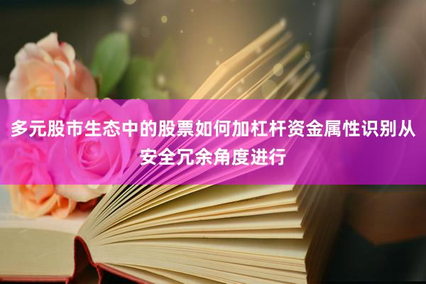多元股市生态中的股票如何加杠杆资金属性识别从安全冗余角度进行