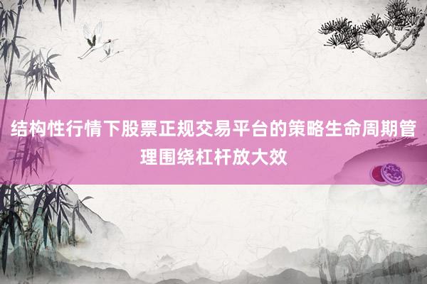 结构性行情下股票正规交易平台的策略生命周期管理围绕杠杆放大效