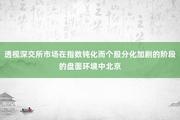 透视深交所市场在指数钝化而个股分化加剧的阶段的盘面环境中北京