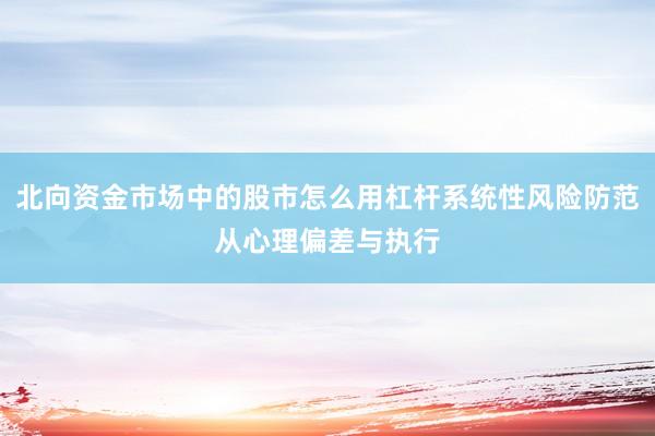 北向资金市场中的股市怎么用杠杆系统性风险防范从心理偏差与执行