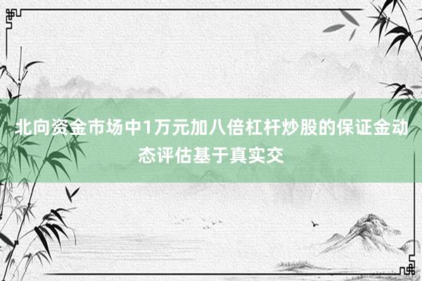 北向资金市场中1万元加八倍杠杆炒股的保证金动态评估基于真实交