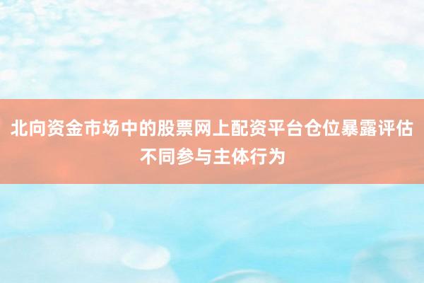 北向资金市场中的股票网上配资平台仓位暴露评估不同参与主体行为