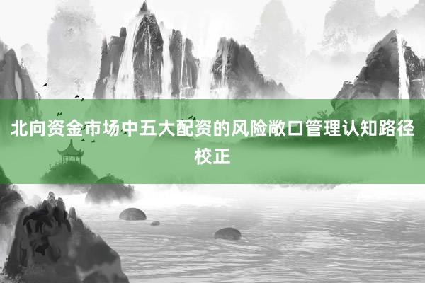 北向资金市场中五大配资的风险敞口管理认知路径校正