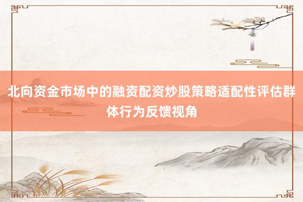 北向资金市场中的融资配资炒股策略适配性评估群体行为反馈视角