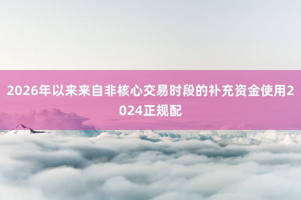 2026年以来来自非核心交易时段的补充资金使用2024正规配