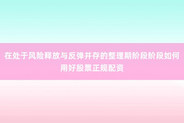 在处于风险释放与反弹并存的整理期阶段阶段如何用好股票正规配资